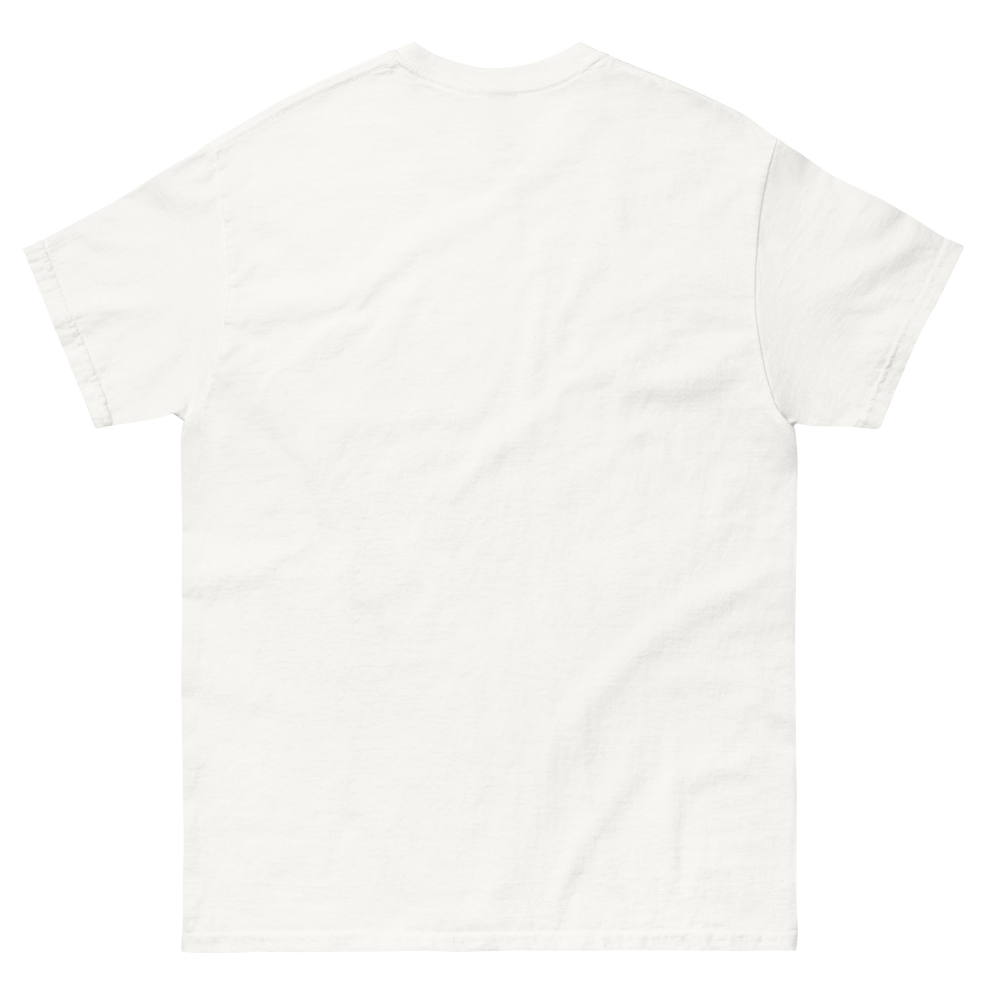 unisex-classic-tee-white-back-6717fa33c5702.jpg